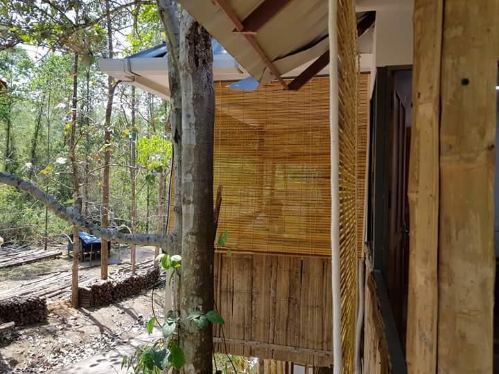 Ponmudi Valley Resorts Luaran gambar