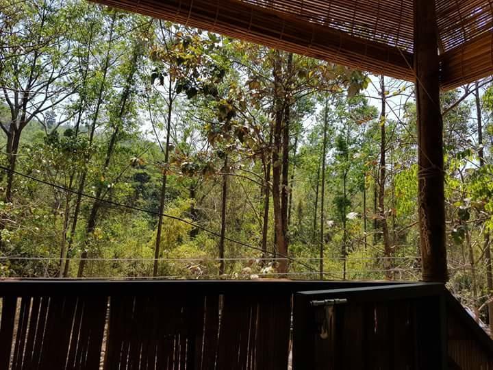 Ponmudi Valley Resorts Luaran gambar